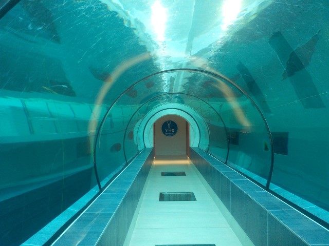 Tunnel (Small)