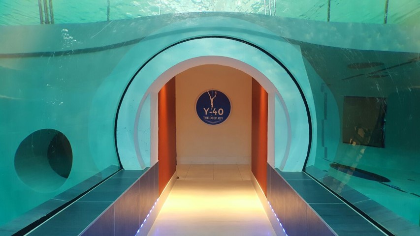 logoY40 (Small)