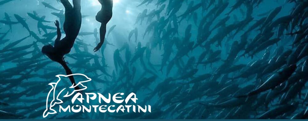 Il sub s'immerge per guardare. L'apneista per guardarsi dentro… (Umberto Pelizzari)
